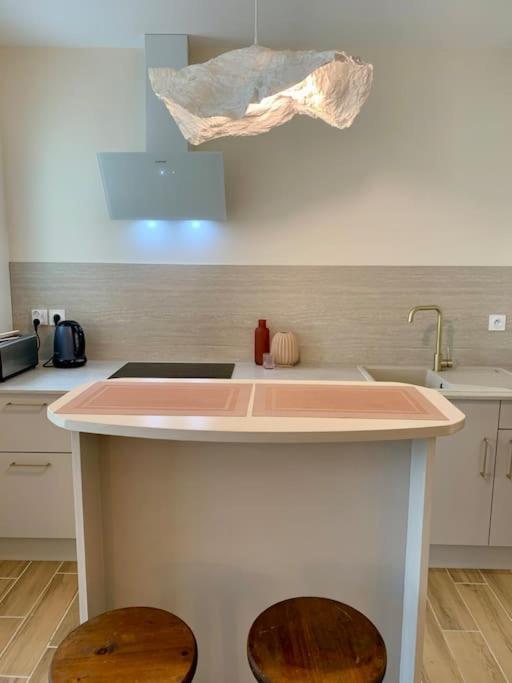 Villa Bleu Marine Chic Calme Et Jardin Andrezieux-Boutheon Luaran gambar